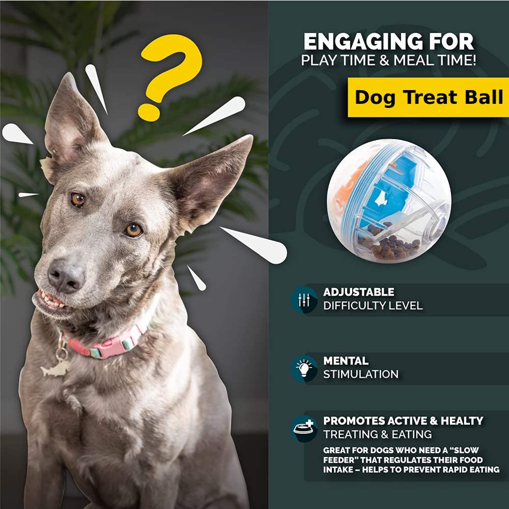 Dog Treat Ball - 4 Inches: image 8