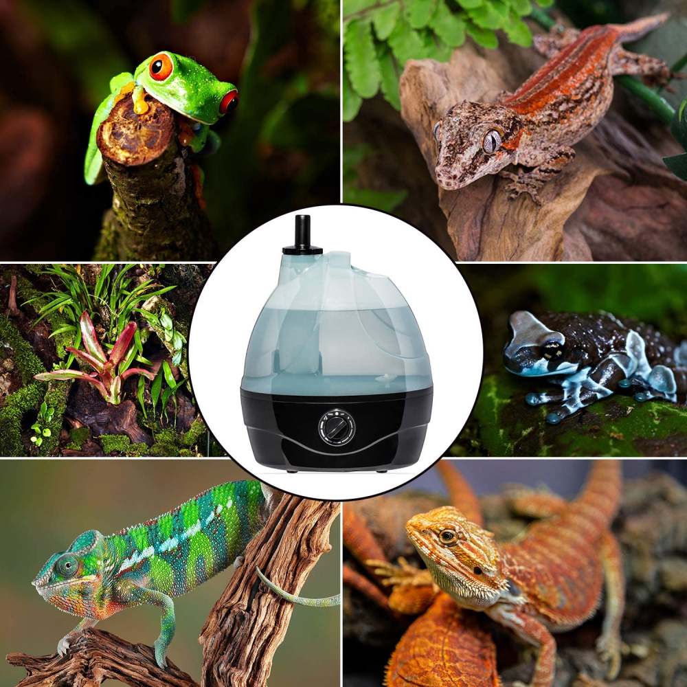 Reptile Humidifier: image 2
