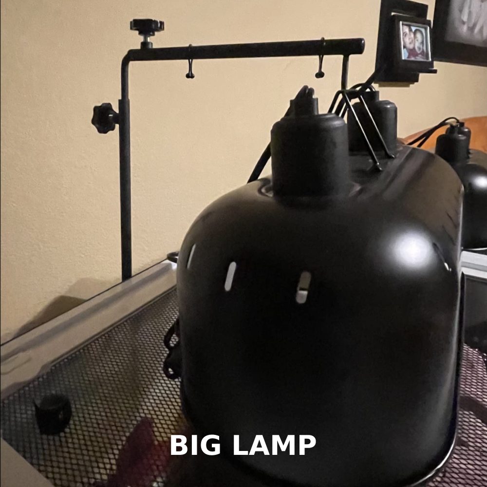 Reptile Lamp Stand