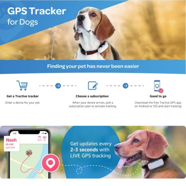 pet location tracking collar device